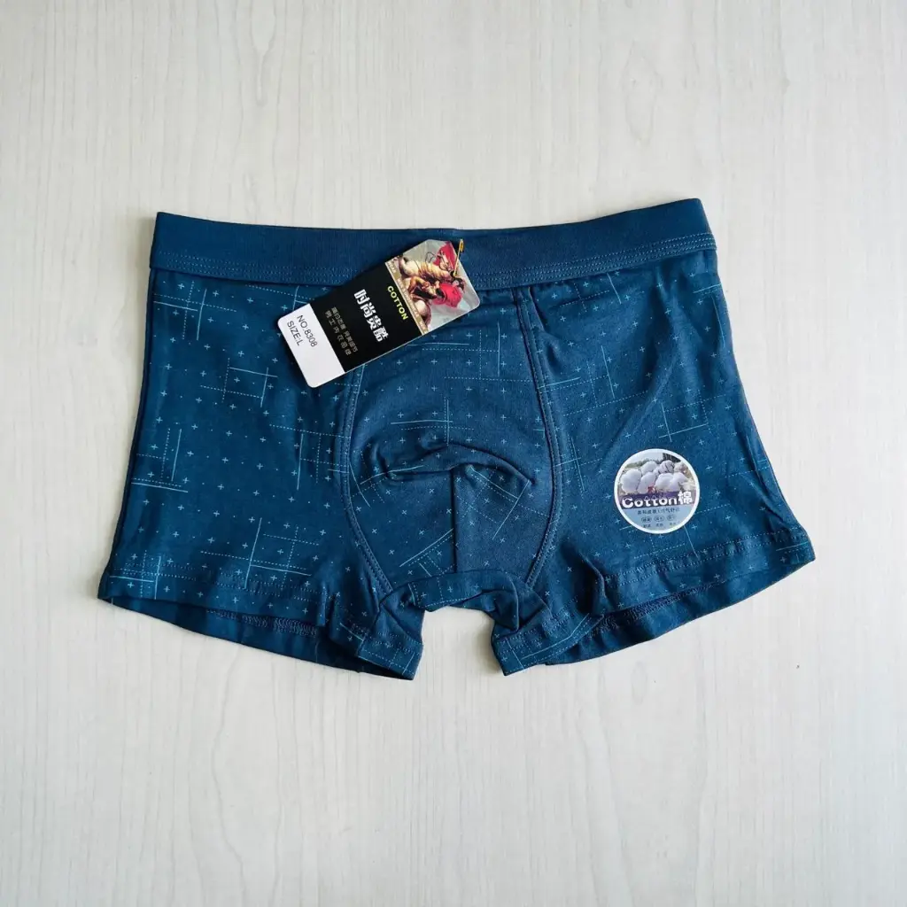 BOXER NEW