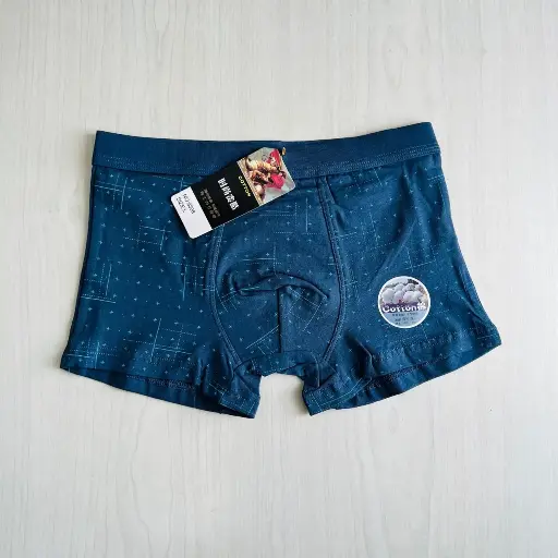 [0365] BOXER NEW